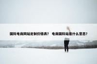 国际电商网站定制价格表？ 电商国际站是什么意思？