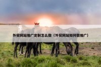 外贸网站推广定制怎么做（外贸网站如何做推广）