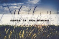 金昌网站推广费用，网站推广费入什么科目