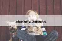 瑜伽推广有网站（专业瑜伽网站）