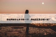 保山网站优化多少钱一个？ 网站优化多少钱一年？