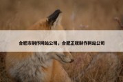 合肥市制作网站公司，合肥正规制作网站公司