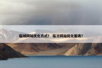 临城网站优化方式？ 临沂网站优化服务？