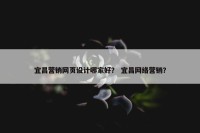 宜昌营销网页设计哪家好？ 宜昌网络营销？