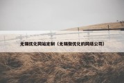 无锡优化网站定制（无锡做优化的网络公司）