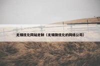 无锡优化网站定制（无锡做优化的网络公司）