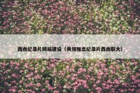 西南纪录片网站建设（央视推出纪录片西南联大）