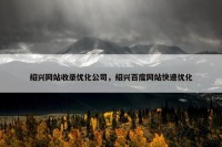 绍兴网站收录优化公司，绍兴百度网站快速优化