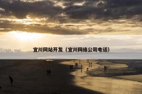 宜川网站开发（宜川网络公司电话）