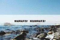 微站网站开发？ 微信微网站开发？