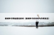 柴胡种子网站建设素材（柴胡种子的功效与作用禁忌）