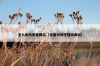 怎么制作微盟网站（微盟如何搭建微商城）