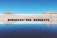 重庆网站优化技术厂家排名，重庆网站优化平台