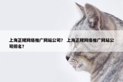 上海正规网络推广网站公司？ 上海正规网络推广网站公司排名？
