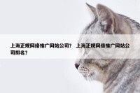 上海正规网络推广网站公司？ 上海正规网络推广网站公司排名？