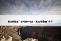 重庆网站推广公司哪家专业（重庆网站推广软件）