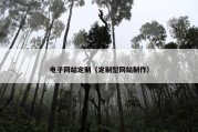 电子网站定制（定制型网站制作）
