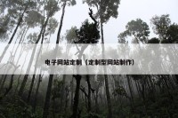 电子网站定制（定制型网站制作）