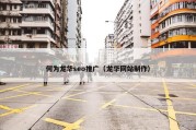 何为龙华seo推广（龙华网站制作）