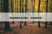 安庆网站优化单位地址？ 安庆网站开发？