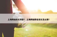 上海网站优化项目？ 上海网站排名优化怎么做？