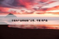 宁夏农产品网站推广公司，宁夏 农产品