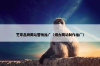 芝罘品牌网站营销推广（烟台网站制作推广）