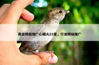 商业网站推广心细火23星，行业网站推广
