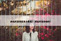 网站开发项目多少费用？ 网站开发挣钱吗？