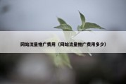网站流量推广费用（网站流量推广费用多少）