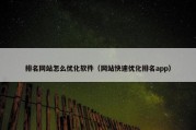 排名网站怎么优化软件（网站快速优化排名app）