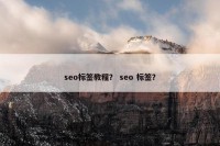 seo标签教程？ seo 标签？