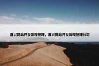 嘉兴网站开发流程管理，嘉兴网站开发流程管理公司