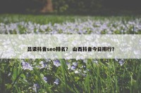 吕梁抖音seo排名？ 山西抖音今日排行？