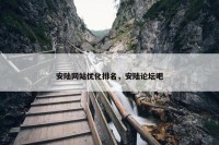 安陆网站优化排名，安陆论坛吧