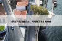 c网站开发项目实战，网站开发项目有哪些