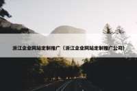 浙江企业网站定制推广（浙江企业网站定制推广公司）