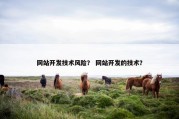 网站开发技术风险？ 网站开发的技术？