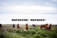 网站开发技术风险？ 网站开发的技术？