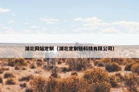 湖北网站定制（湖北定制链科技有限公司）