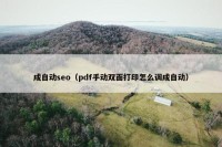 成自动seo（pdf手动双面打印怎么调成自动）