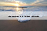 成正规网站推广软件（网站推广软件下载）