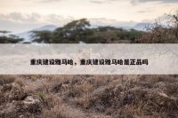 重庆建设雅马哈，重庆建设雅马哈是正品吗