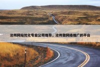 沧州网站优化专业公司推荐，沧州做网络推广的平台