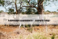 大佬网站图片文案排版制作？ 大佬推荐个网站？