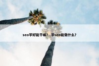 seo学好能干嘛？ 学seo能做什么？