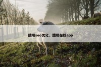 醴陵seo优化，醴陵在线app