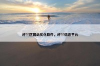 呼兰区网站优化软件，呼兰信息平台