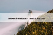 青岛网站排名优化企业？ 青岛优化网站公司？