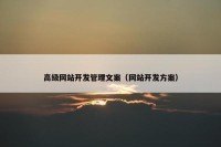 高级网站开发管理文案（网站开发方案）